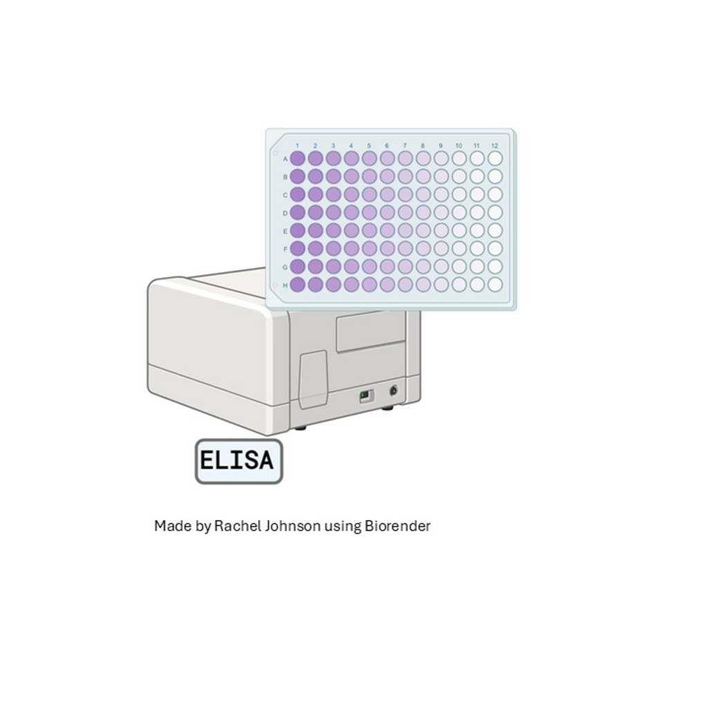 Enzyme Linked Immunosorbent Assay