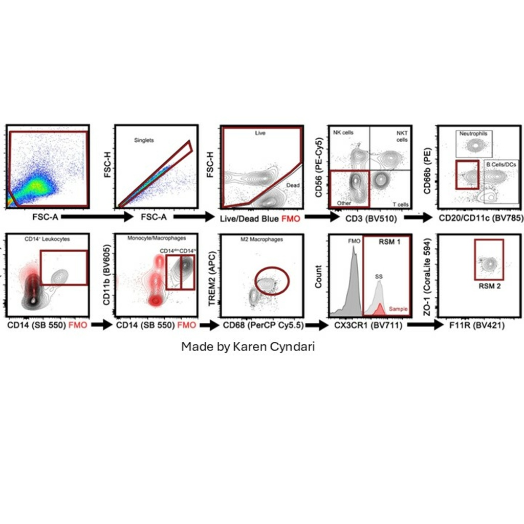 Flow Cytometry