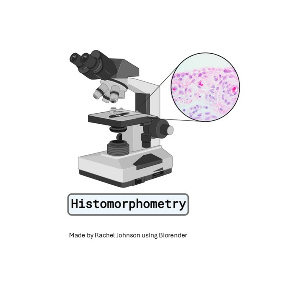 Histomorphometry technique