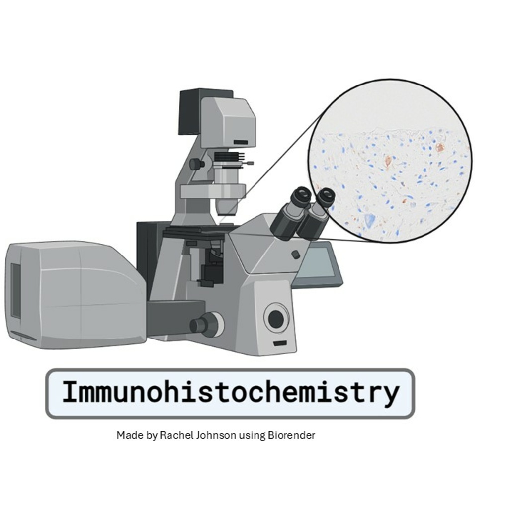 Immunohistochemistry